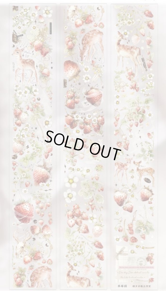 画像1: 【朝夕】草莓園-PET貝殻光 (1)