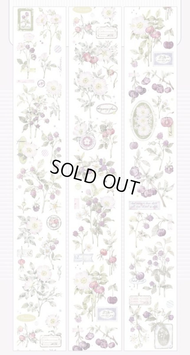 画像1: 【小王紙】野莓集-PET貝殻光 (1)