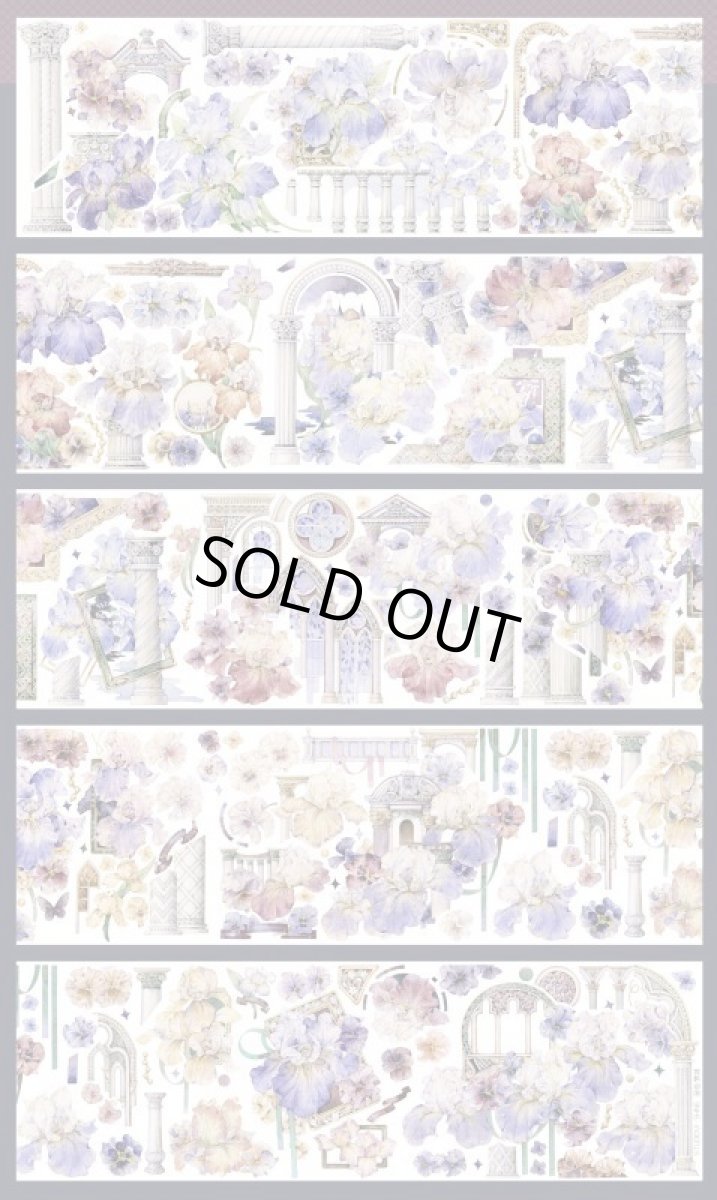 画像1: 【双S】聖臨・夢域-PET貝殻光 (1)