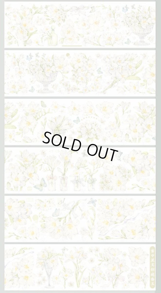 画像1: 【霧中星】晩香玉-PET貝殻光 (1)