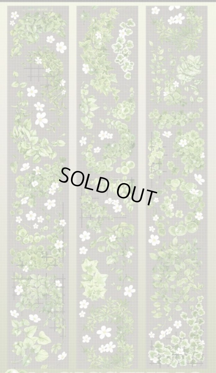 画像1: 【魔法堂】染緑-PET貝殻光 (1)