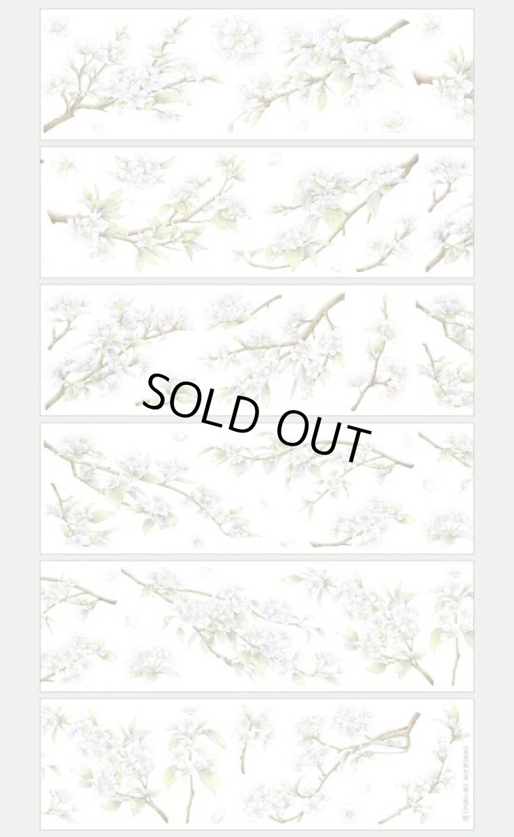 画像1: 【新七天】却上枝頭-PET特油 (1)