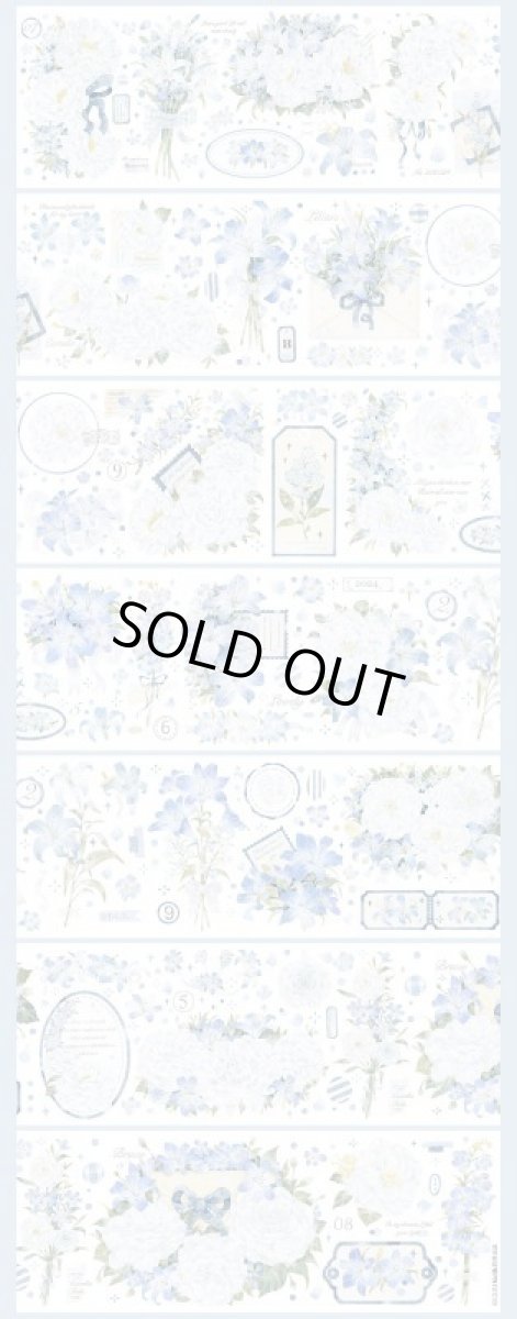 画像1: 【hoshi】蘭之芯-PET貝殻光 (1)