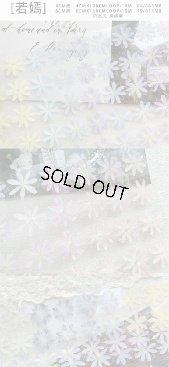 画像1: 【迷霧森林】若嫣(6cm)-PET貝殻光　※花が一列に並んでいる柄です動画ご確認ください (1)