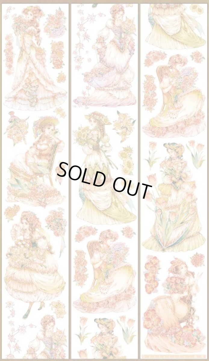 画像1: 【Dailylife】邂逅-PET貝殻光 (1)