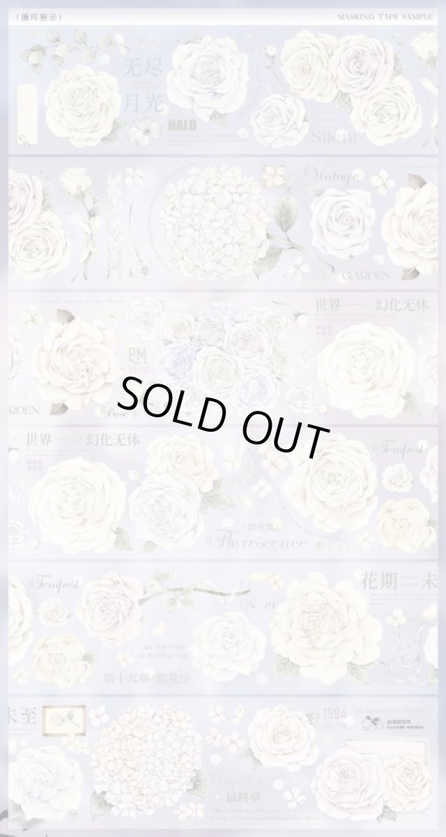 画像1: 【冰川研究所】皎皎月白-PET貝殻光 (1)