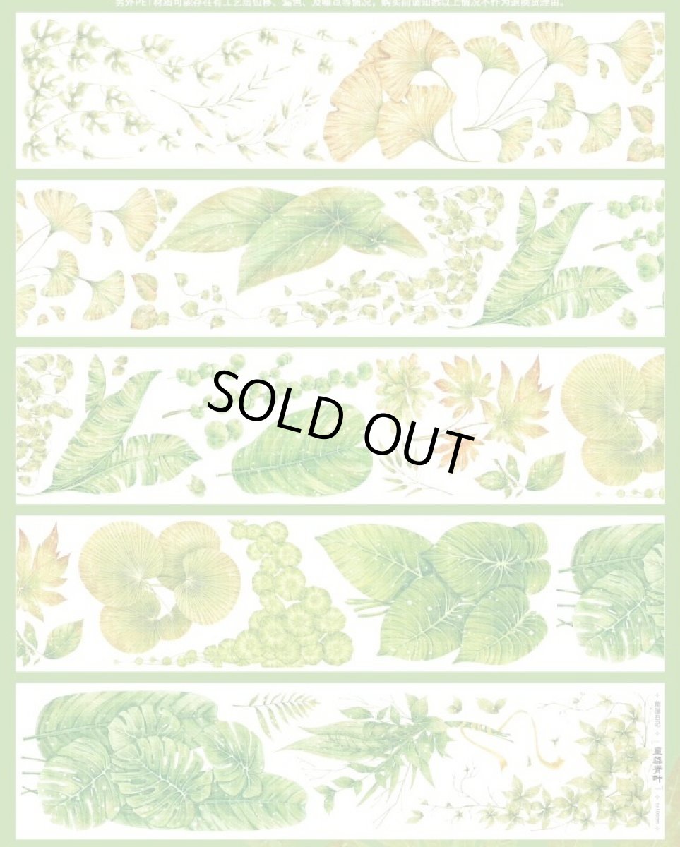 画像1: 【能猫日記】墨染青葉-PET貝殻光 (1)