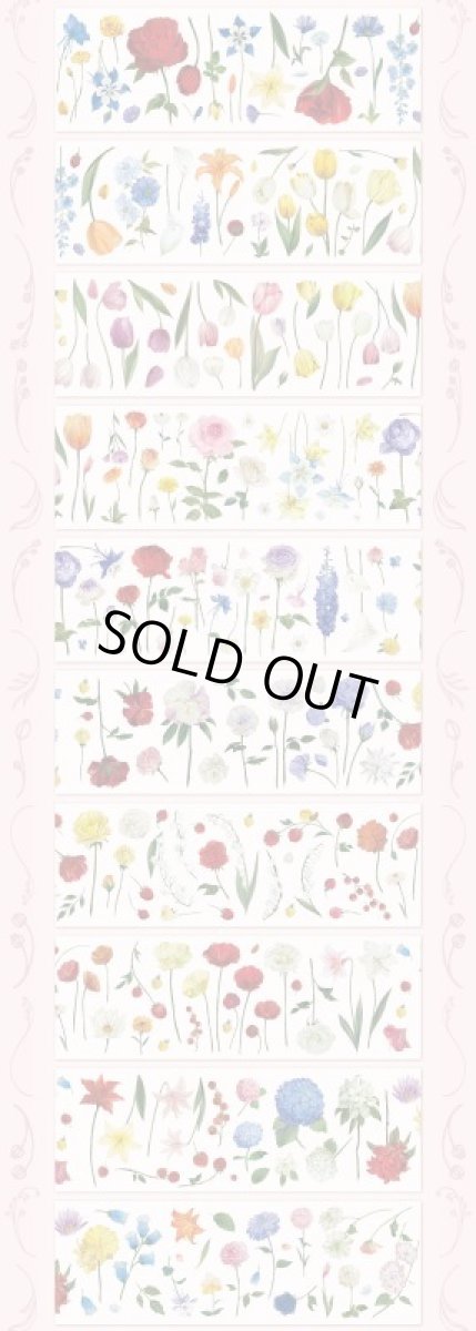 画像1: 【本初】流光独白-PET虹光 (1)