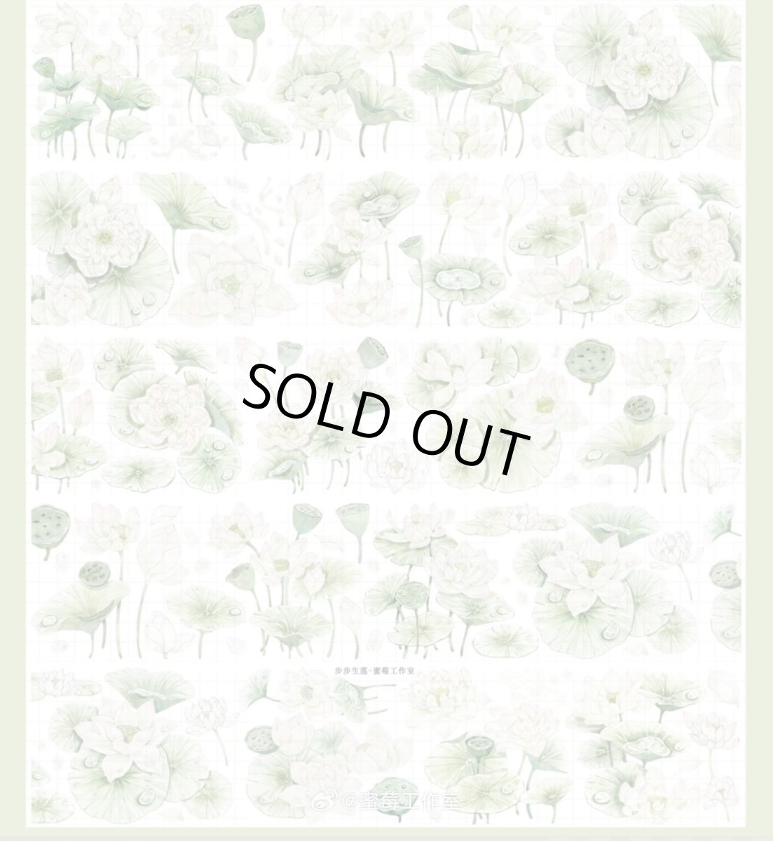 画像1: 【蜜苺】歩歩生蓮-PET貝殻光 (1)