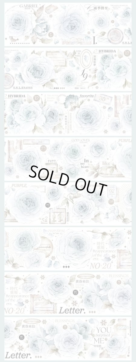 画像1: 【hoshi】青山詞-PET貝殻光 (1)