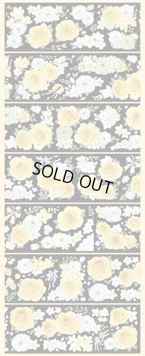 画像1: 【hoshi】夏日晴-PET貝殻光 (1)