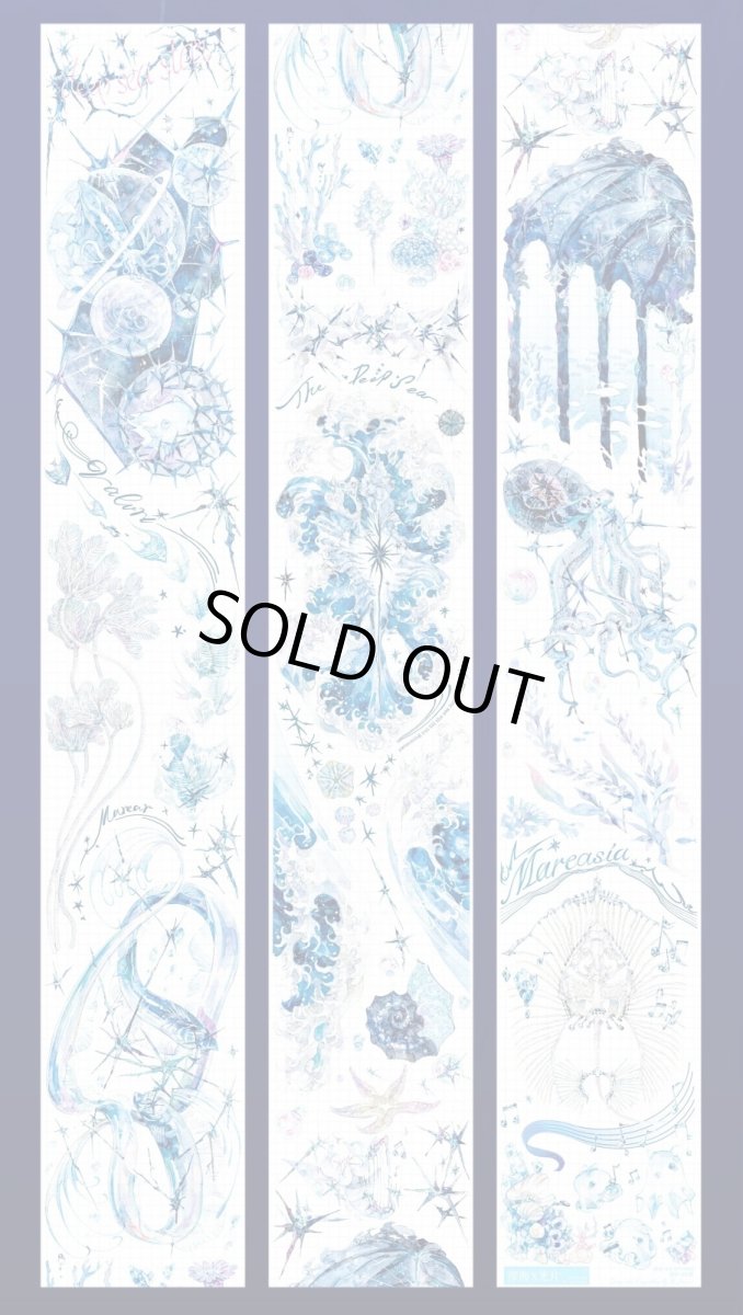 画像1: 【XX】深海X光片-PET貝殻光 (1)