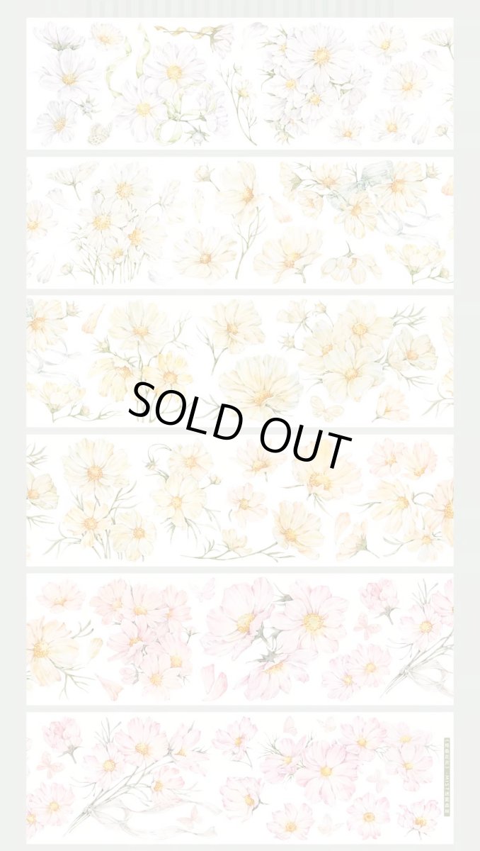 画像1: 【迷霧森林】格桑花開-PET貝殻光 (1)