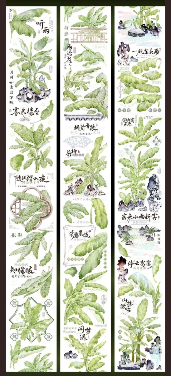 画像1: 【studio6】庭前芭蕉-PET貝殻光 (1)