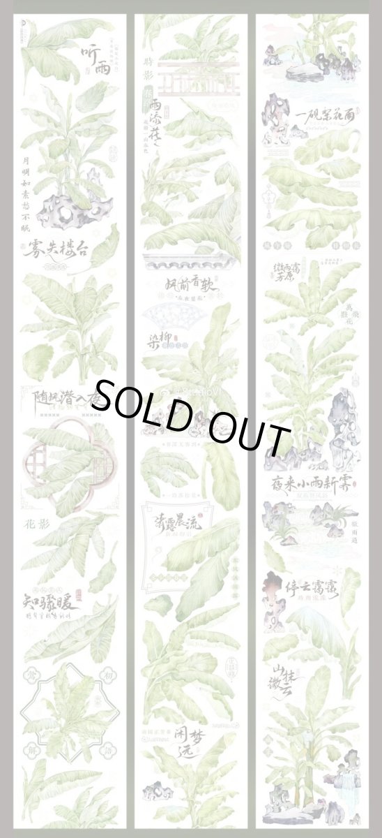 画像1: 【studio6】庭前芭蕉-PET貝殻光 (1)