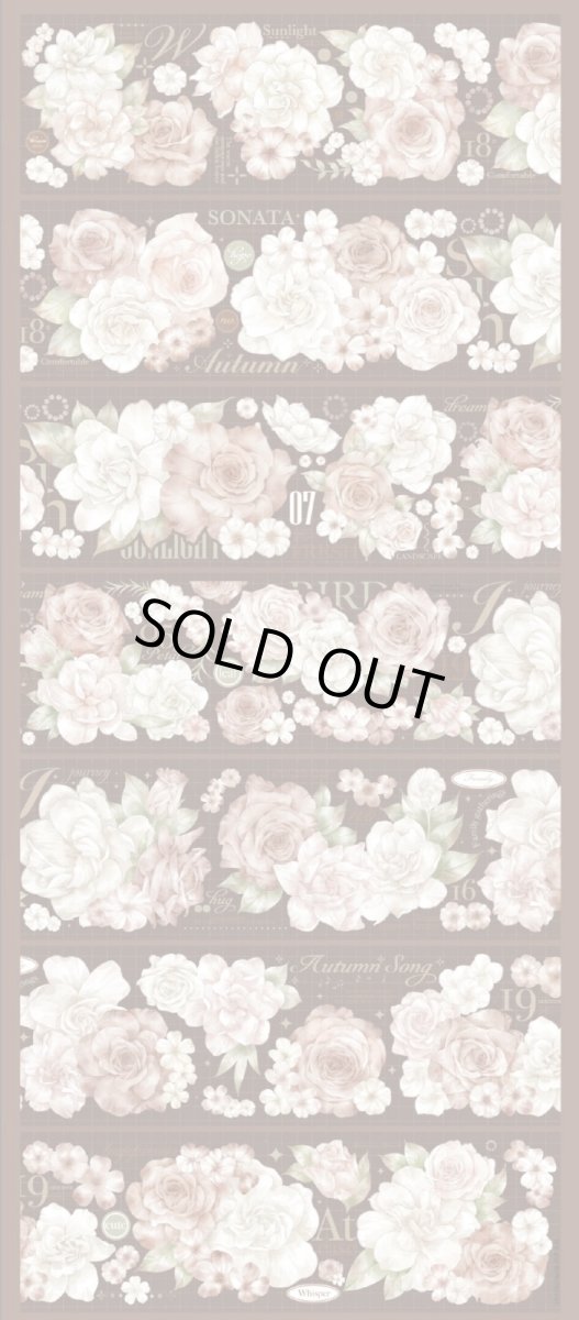 画像1: 【hoshi】秋日里-PET貝殻光 (1)