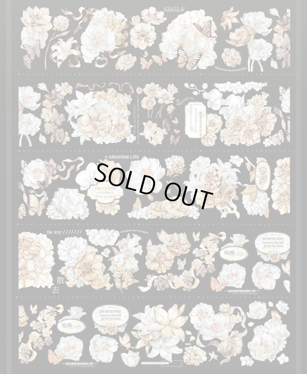 画像1: 【花染所】洛梔-PET貝殻光 (1)