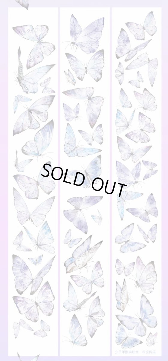 画像1: 【分子】極光閃蝶-PET貝殻光 (1)