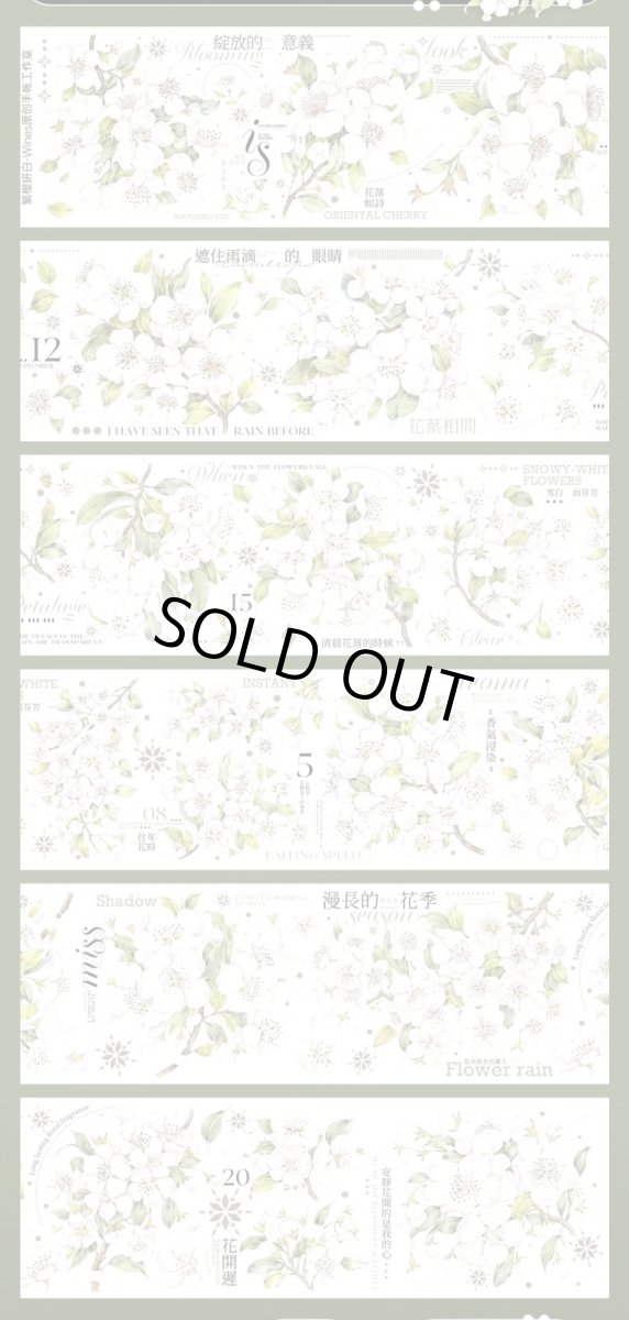 画像1: 【Wines】繁櫻妍白-PET貝殻光 (1)