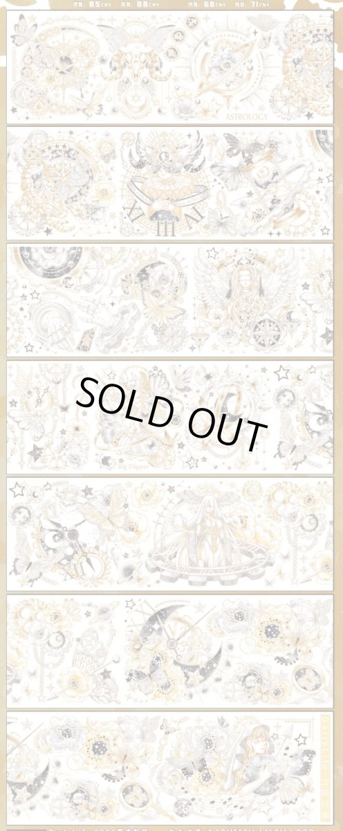 画像1: 【Dailylife】白金之星-PET貝殻光 (1)