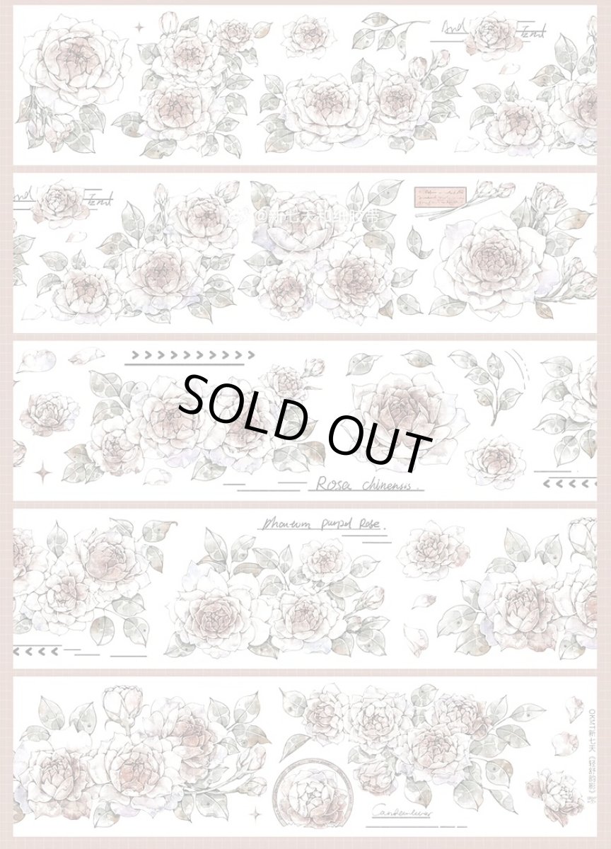 画像1: 【新七天】軽舒韻影-PET貝殻光 (1)