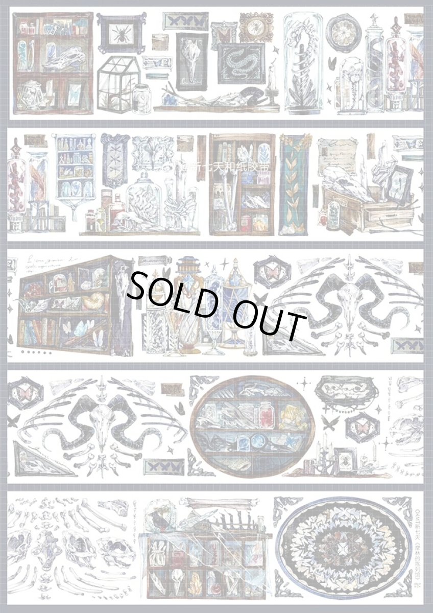 画像1: 【新七天】摩林的陳列館-PET貝殻光 (1)