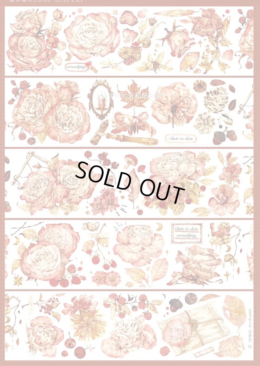 画像1: 【新七天】思静秋-PET貝殻光 (1)