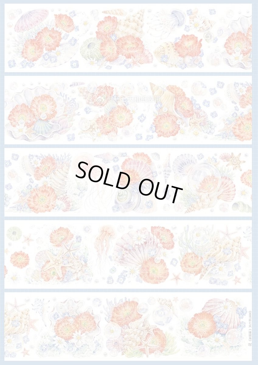 画像1: 【新七天】珊瑚海-PET貝殻光 (1)