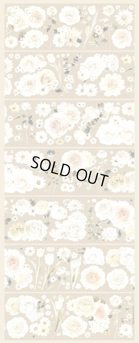 画像1: 【hoshi】香檳落日-PET貝殻光 (1)