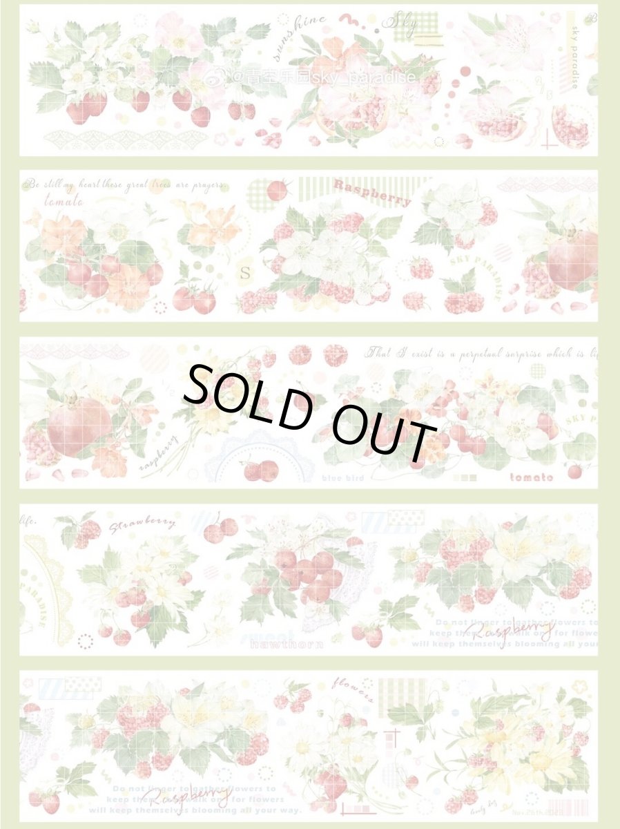 画像1: 【青空】果然-PET貝殻光 (1)