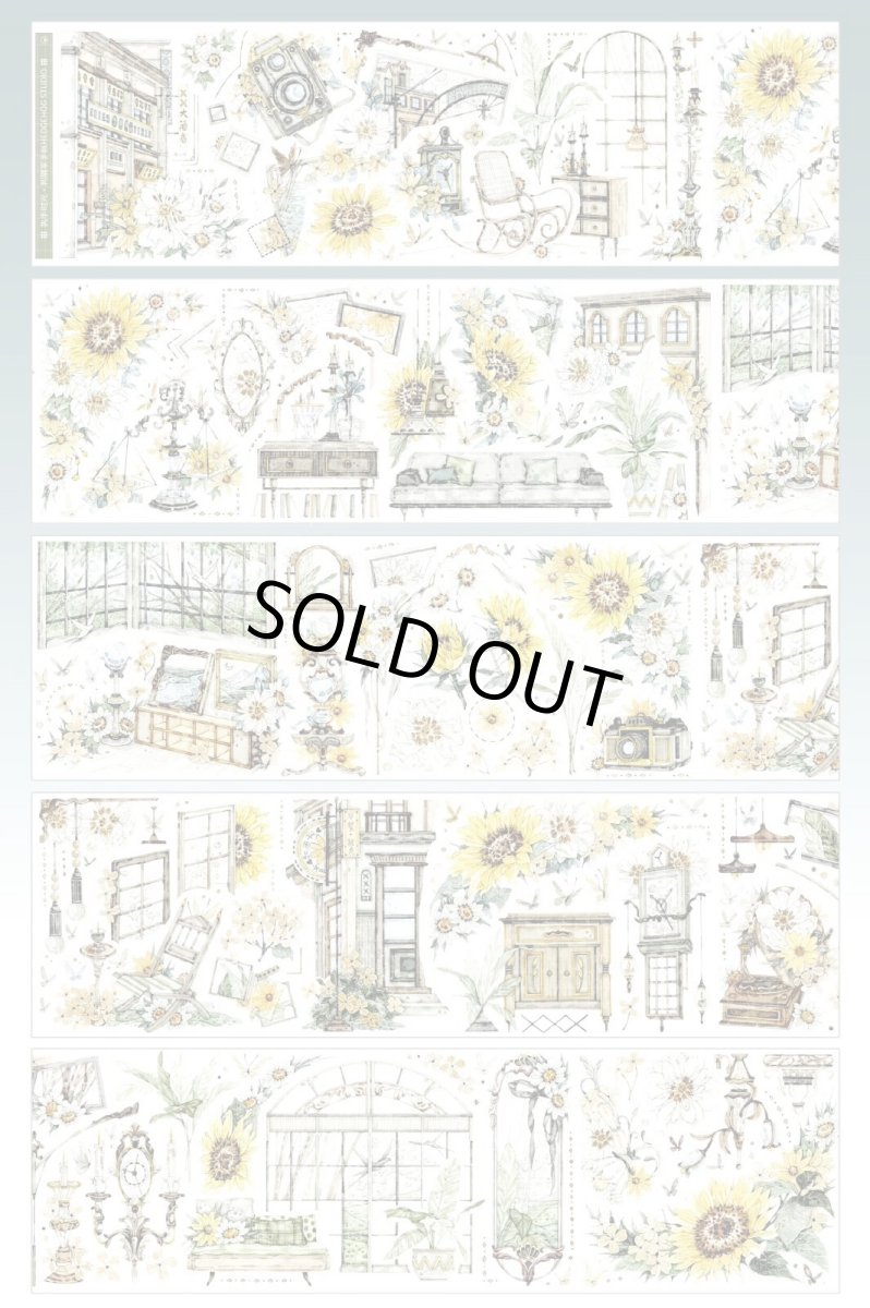 画像1: 【HEDGEHOG】執手時光-PET貝殻光 (1)