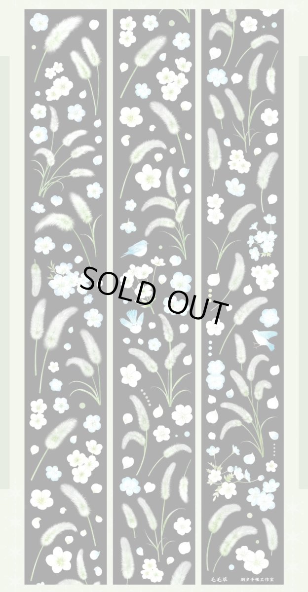 画像1: 【朝夕】毛毛草-PET貝殻光 (1)