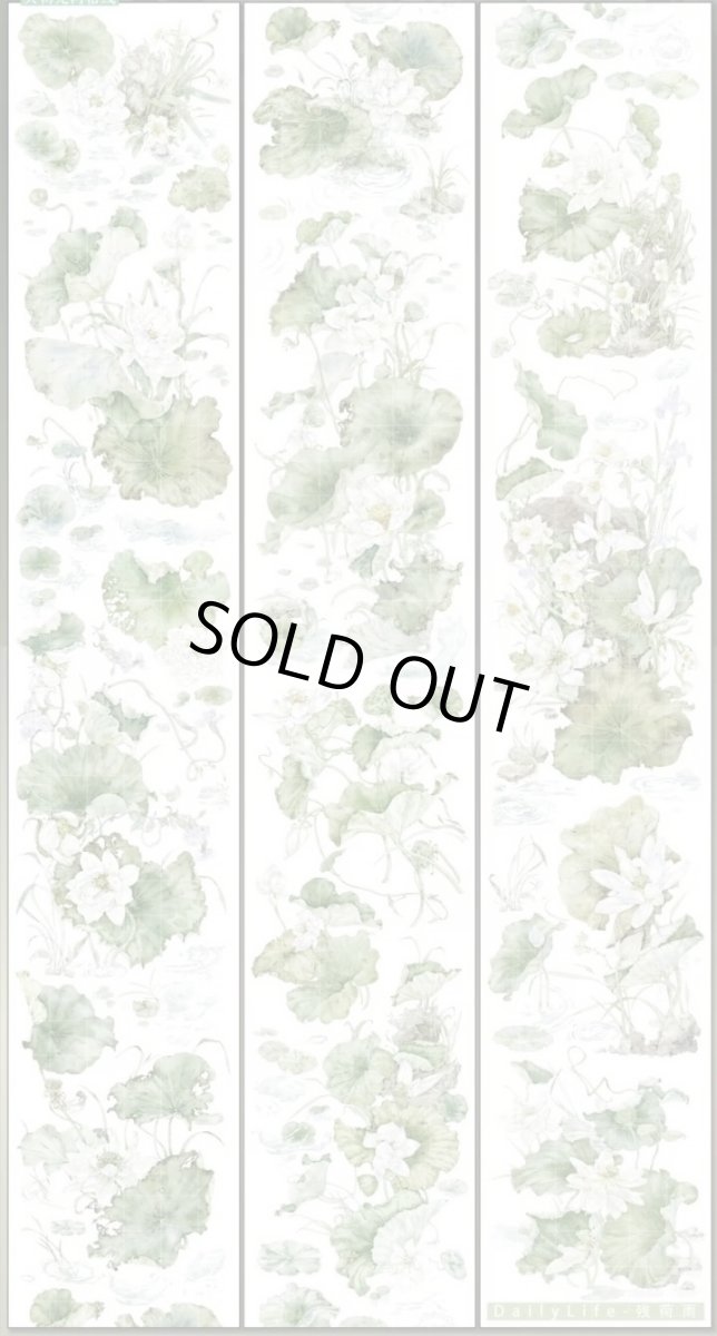 画像1: 【Dailylife】残荷雨-PET貝殻光 (1)