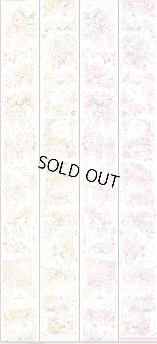 画像1: 【Dailylife】晨曦-PET貝殻光 (1)