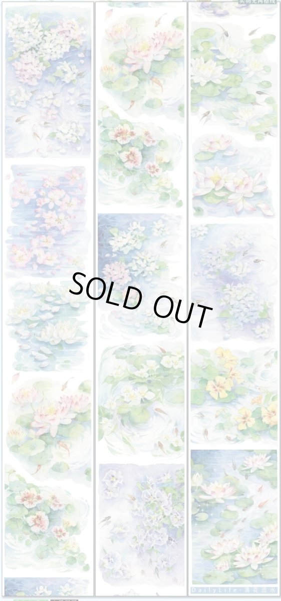 画像1: 【Dailylife】落花流水-PET貝殻光 (1)