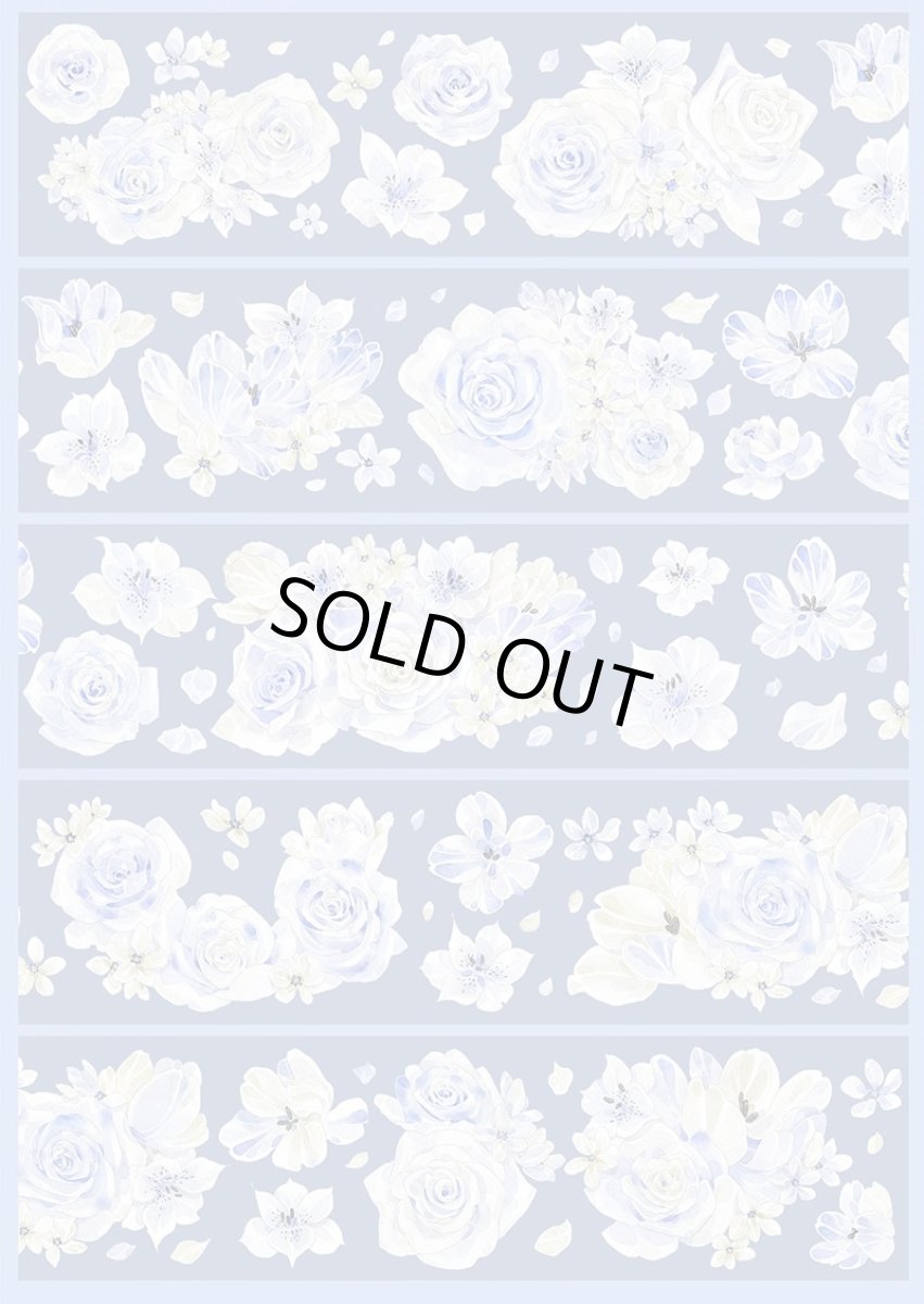 画像1: 【新七天】月輝清露-PET貝殻光 (1)