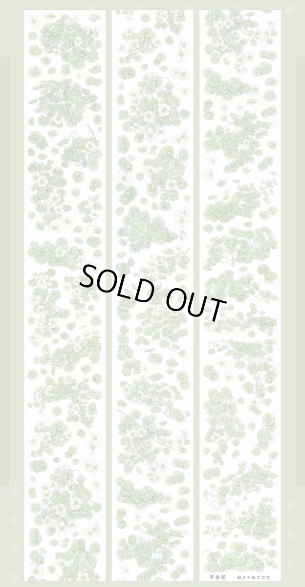 画像1: 【朝夕】旱金蓮-PET貝殻光 (1)