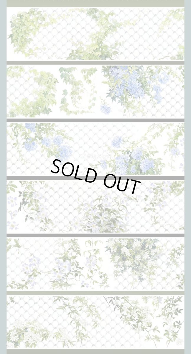 画像1: 【Studio6】一網情深-PET (1)