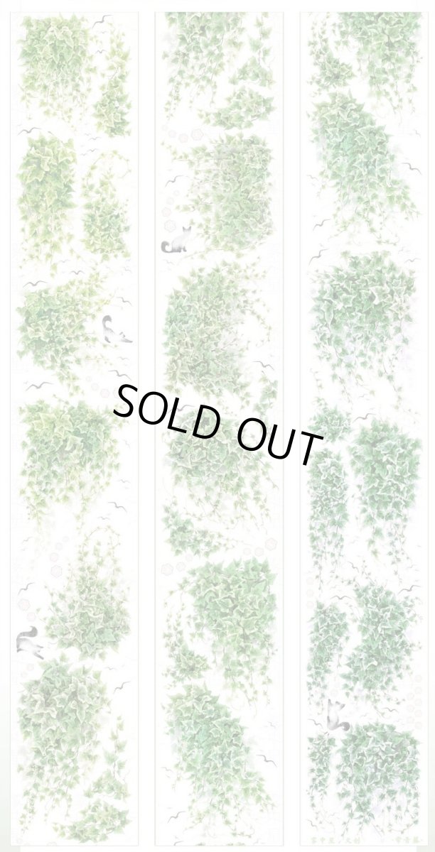 画像1: 【霧中星】常青藤-PET貝殻光 (1)