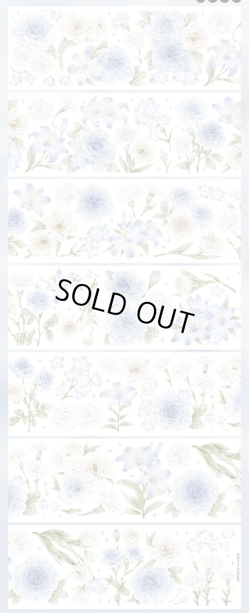 画像1: 【hoshi】聆聴流雲-PET貝殻光 (1)