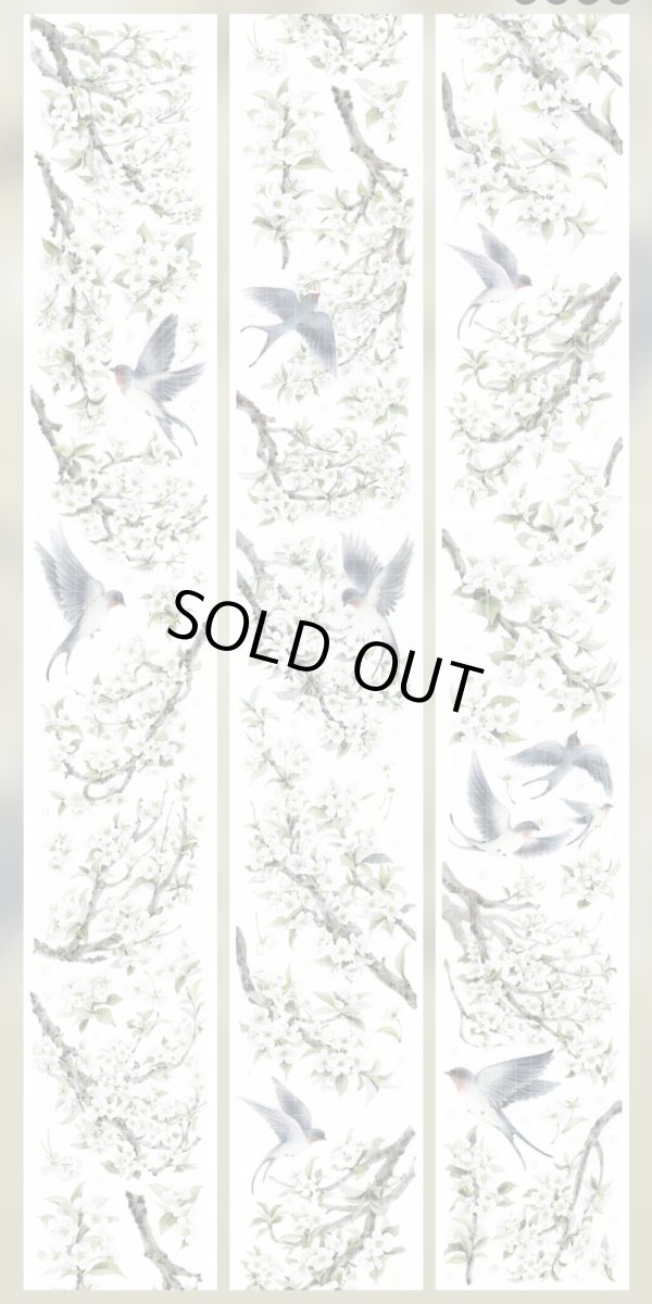 画像1: 【hoshi】燕遊画-PET貝殻光 (1)