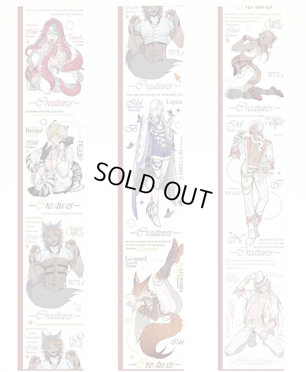 画像1: 【摘星】look at me-PET貝殻光 (1)