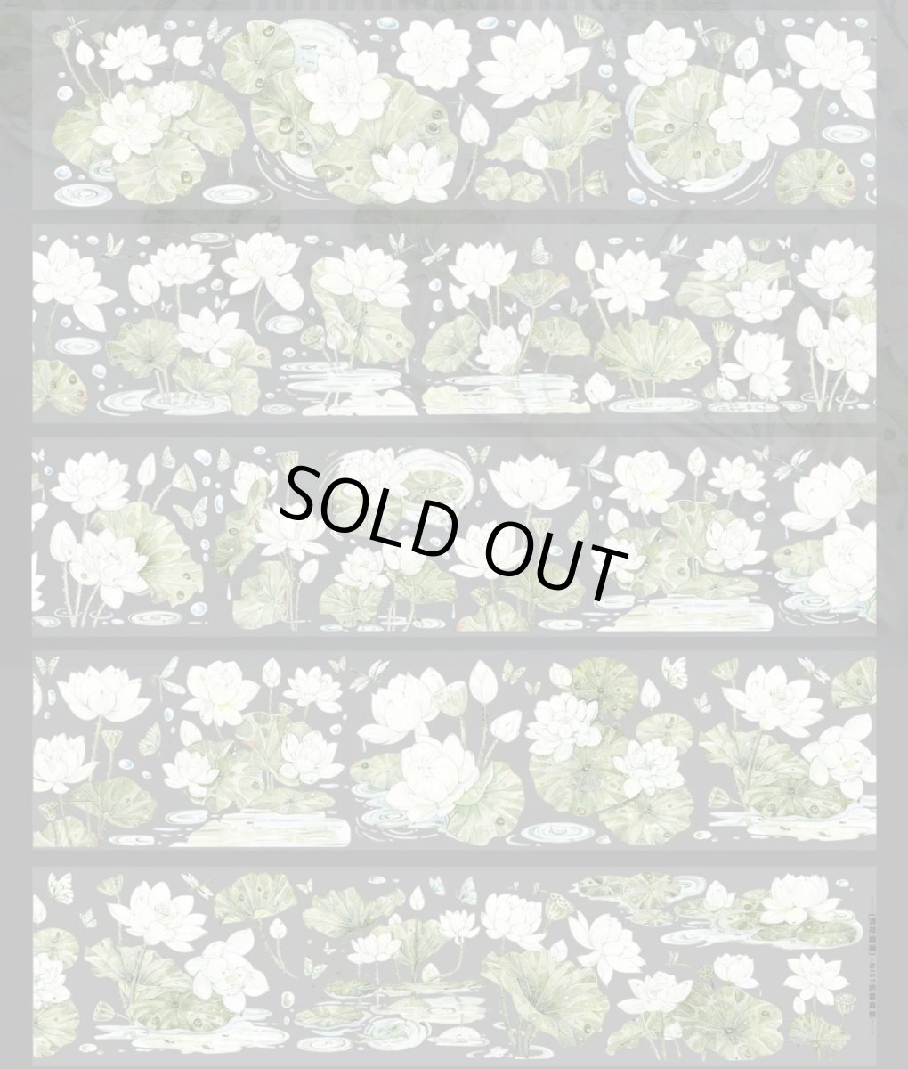 画像1: 【迷霧森林】清荷幽幽-PET貝殻光 (1)