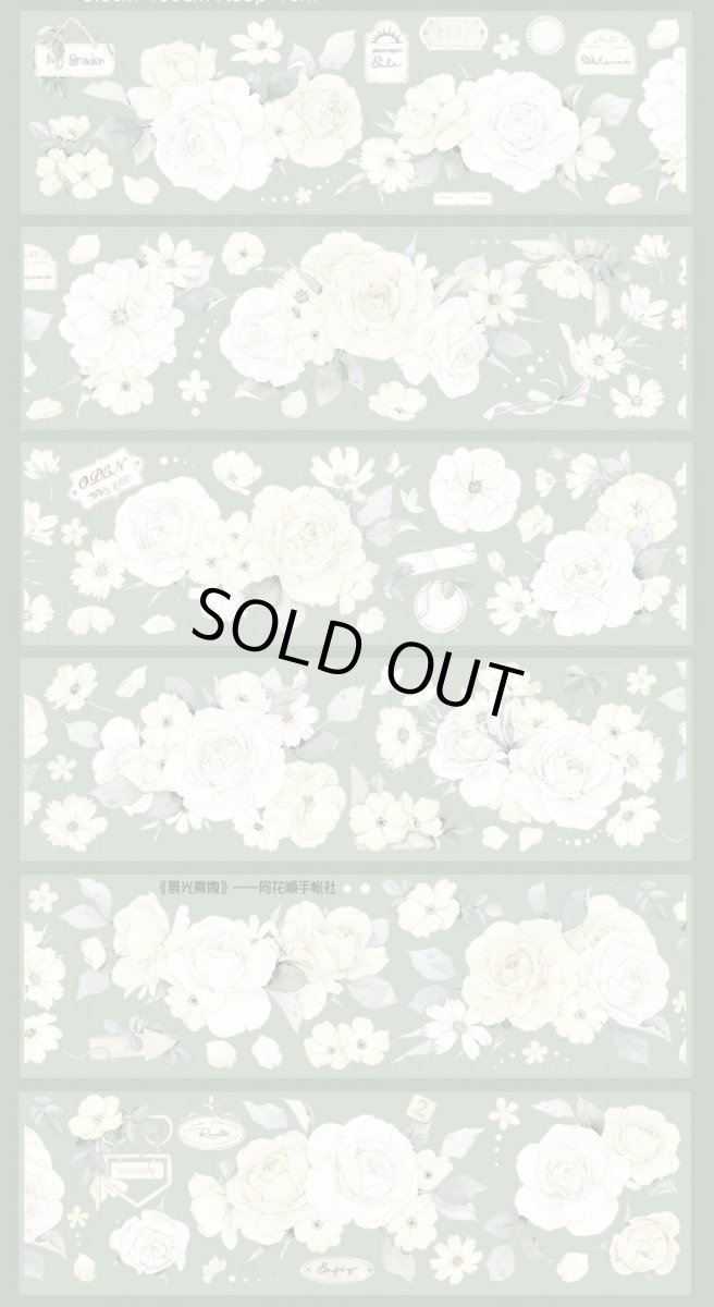 画像1: 【同花順】晨光熹微-PET貝殻光 (1)