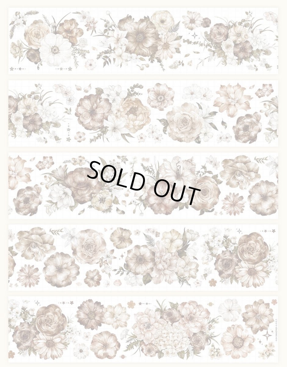 画像1: 【miaopaji】塔希提亜-PET貝殻光 (1)