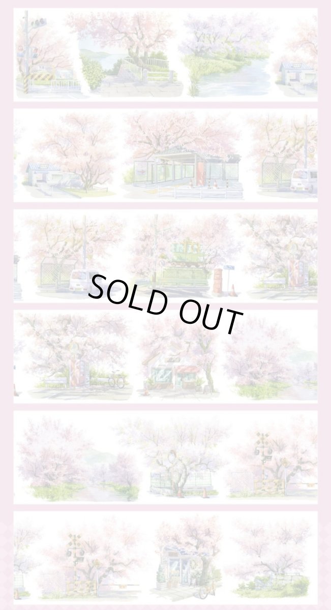 画像1: 【野葵】櫻町暮落-PET (1)