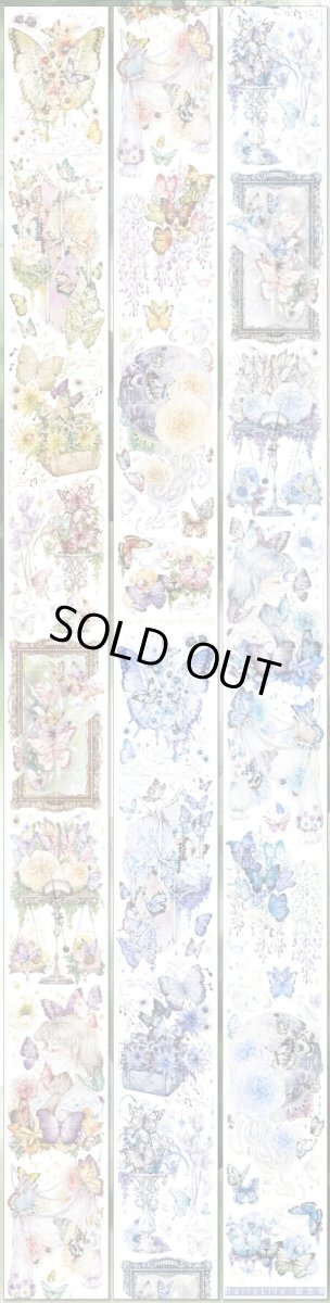 画像1: 【Dailylife】韶光曲-PET貝殻光 (1)