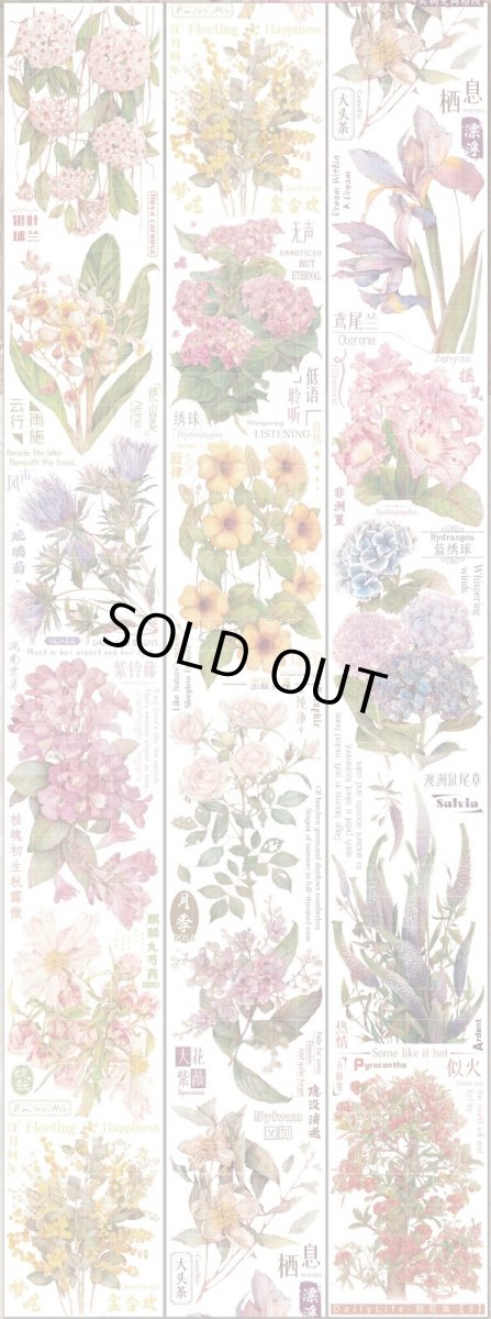 画像1: 【Dailylife】朝花集3　6cm-PET (1)