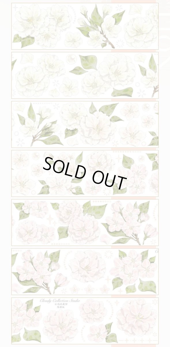 画像1: 【云端収蔵館】落桜叙-PET貝殻光 (1)