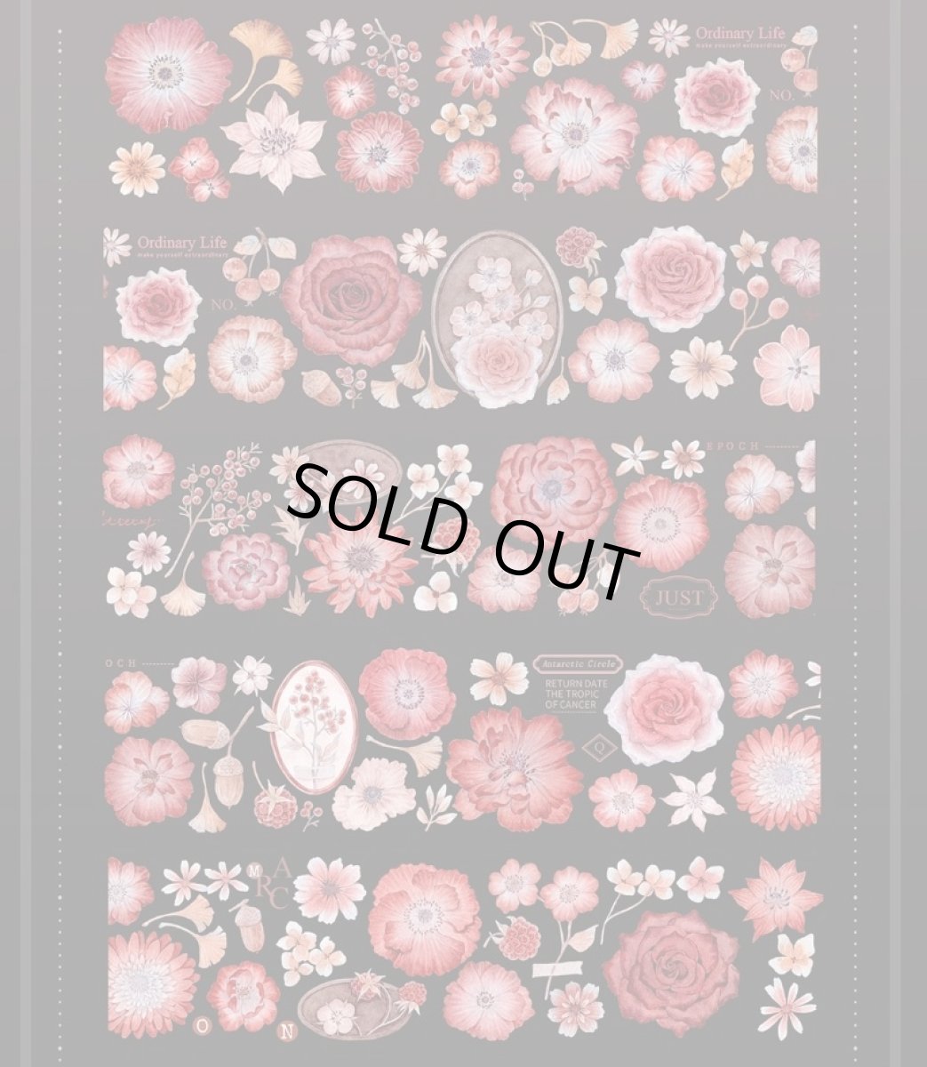 画像1: 【花染所】伴絲絨-PET貝殻光 (1)